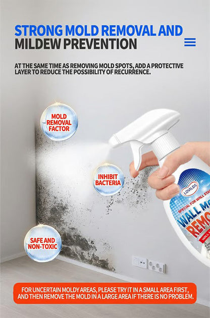 Highly Effective Mould Removal Spray - Prevents Mould Regrowth