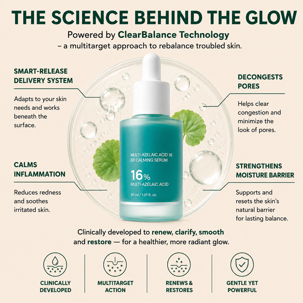 Bangsbar Anchoic Acid Soothing Serum