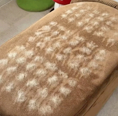 Buy 1 Get 1 Free🔥QIAWI ™ Electrostatic Pet Hair Removal Grooming Gloves