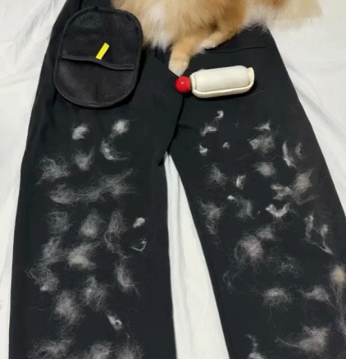 Buy 1 Get 1 Free🔥QIAWI ™ Electrostatic Pet Hair Removal Grooming Gloves